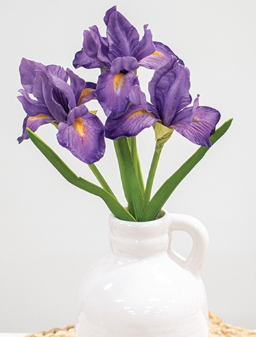 Purple Iris Cluster