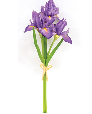 Purple Iris Cluster